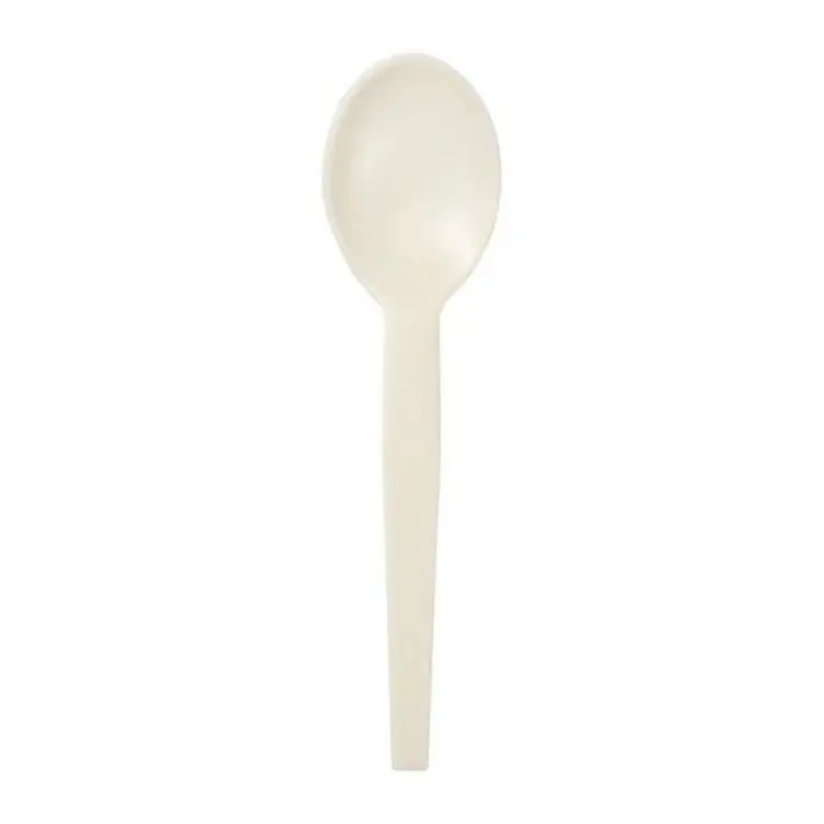 Picture of BetaEco PSM Spoon - 1000/ctn