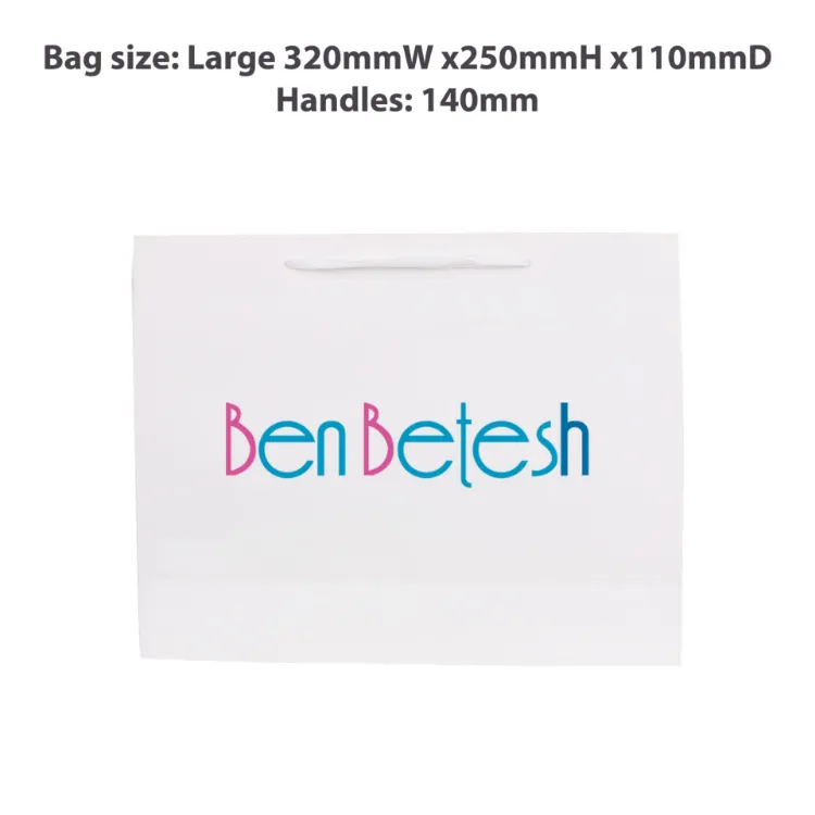 Picture of Large Crosswise Paper Bag with Fabric Flat Handle(320 x 250 x 110mm)
