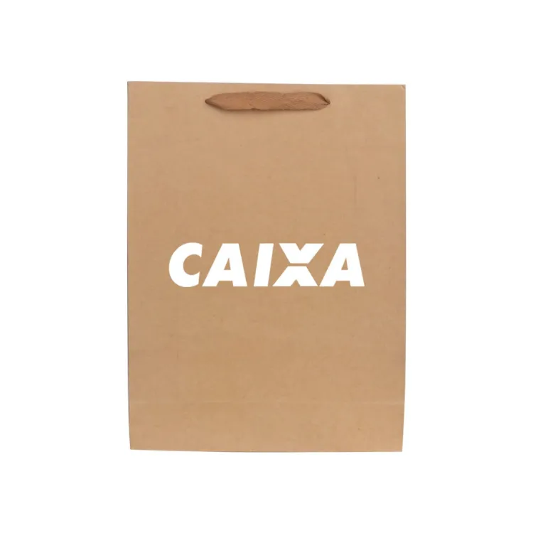 Picture of Large Vertical Paper Bag with Fabric Flat Handle(300 x 400 x 110mm)