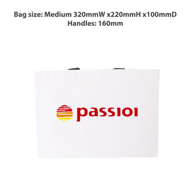 Picture of Medium Paper Bag with Flat Handle(320 x 220 x 100mm)