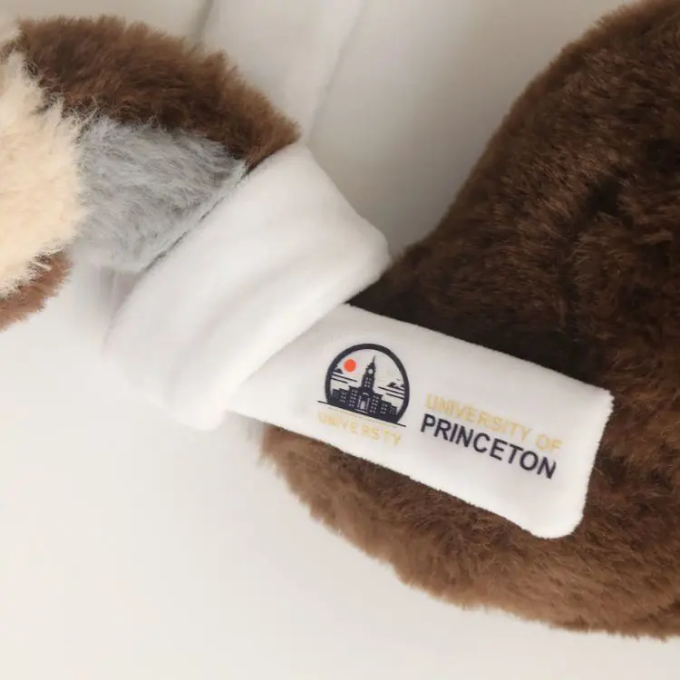 Picture of Custom Emu Plush Toy