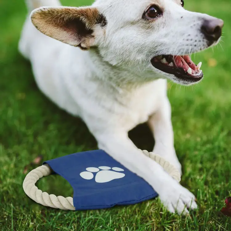 Picture of Rope Frisbee Dog Toy