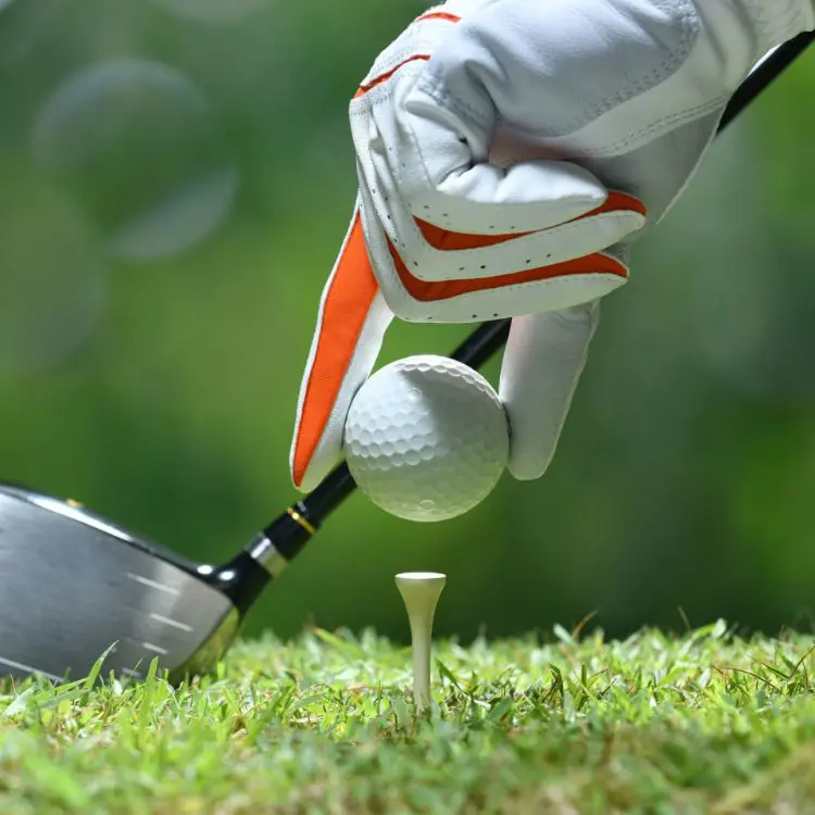 Picture of Bamboo Golf Tee