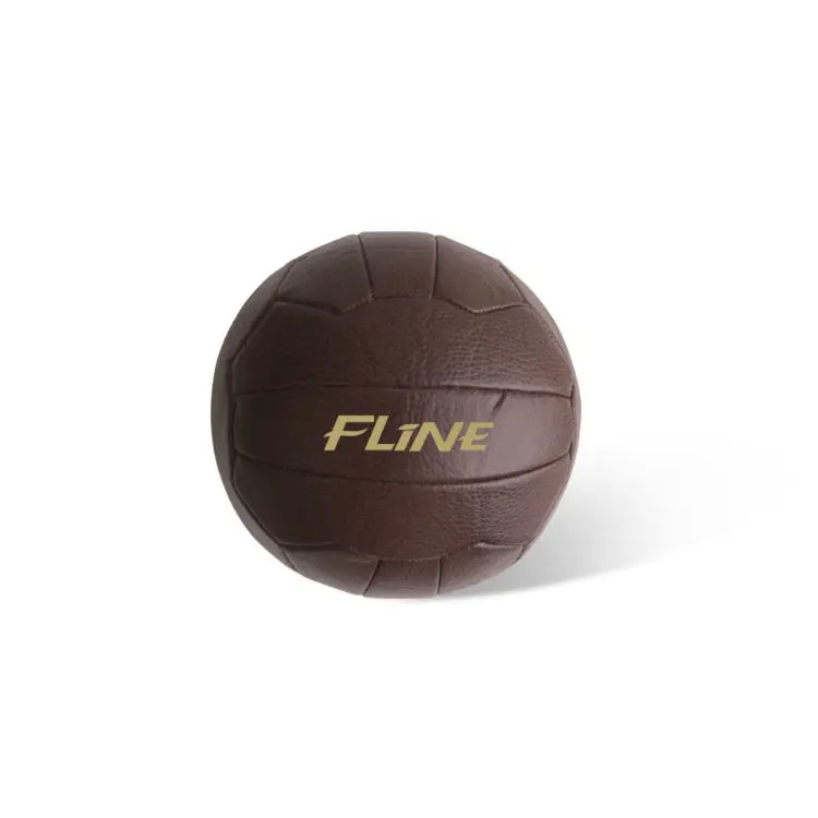 Picture of Vintage Soccer Ball
