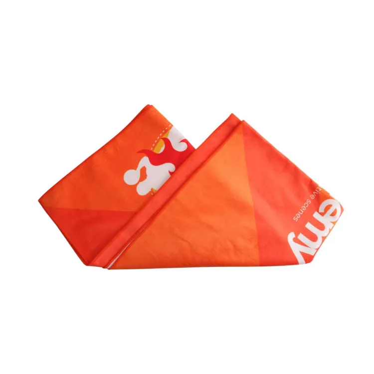 Picture of Colour Sports Towel (75x160cm)
