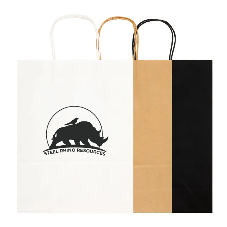 Picture of Express Paper Bag Large