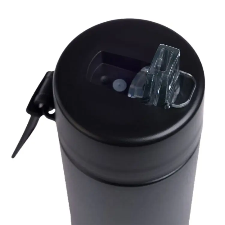 Picture of Zara 600ml Steel Bottle