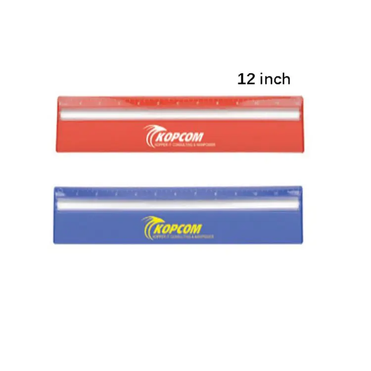 Picture of 30cm Ruler with Colour and Magnifying
