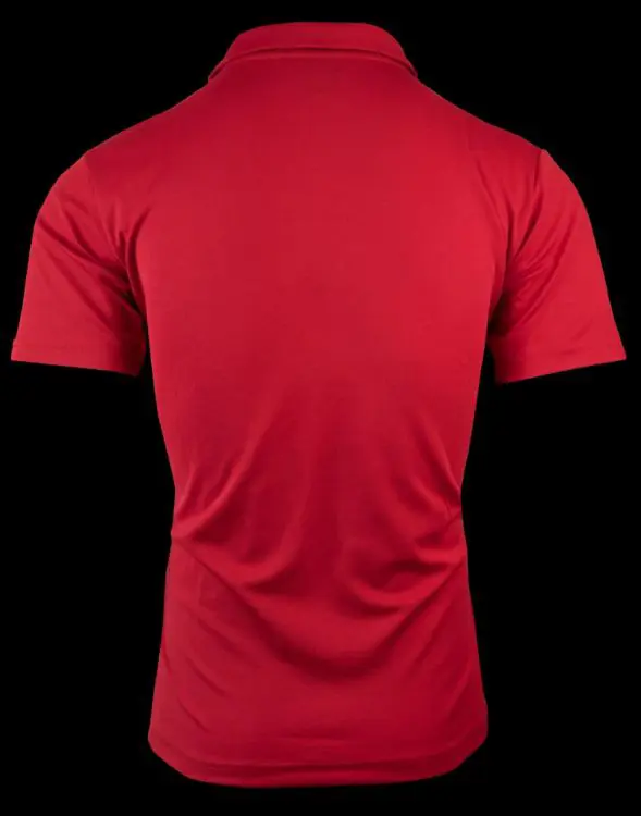 Picture of PATERSON MENS POLOS RUNOUT