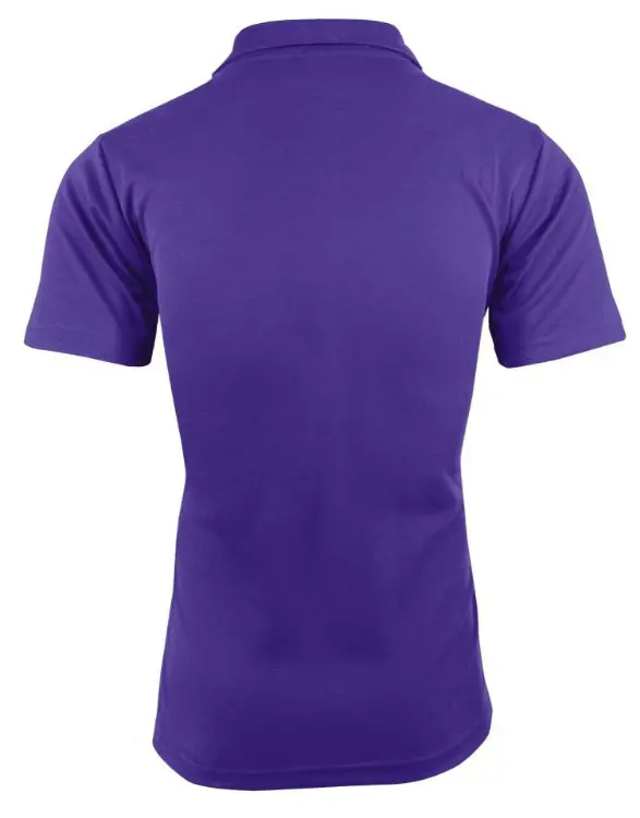 Picture of PATERSON MENS POLOS RUNOUT