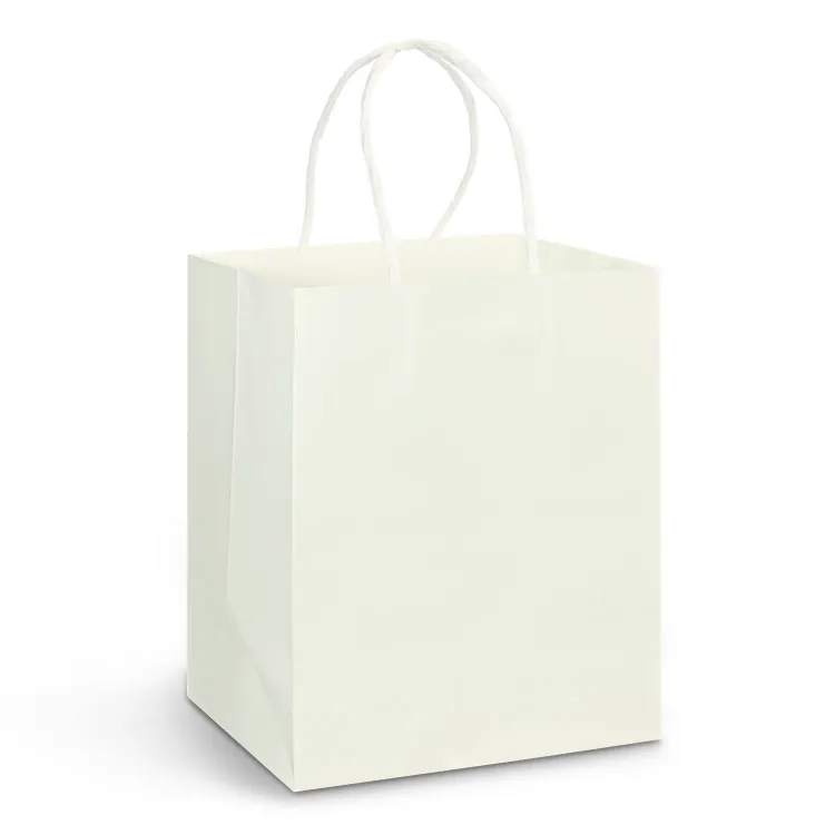 Picture of Medium Paper Carry Bag - Full Colour